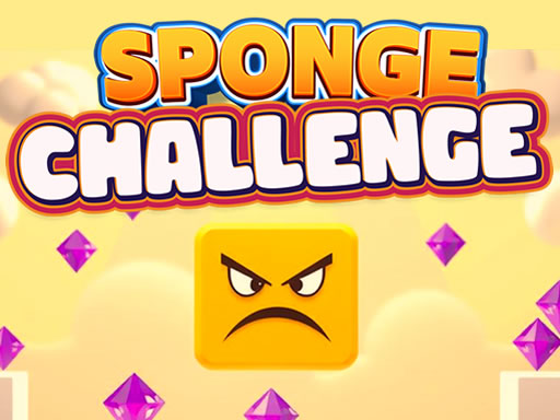 Sponge Challenge cover