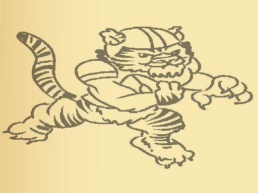 Tiger Coloring Book cover
